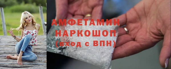 молекула духа Алексин