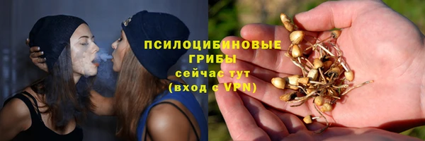 mdpv Алзамай