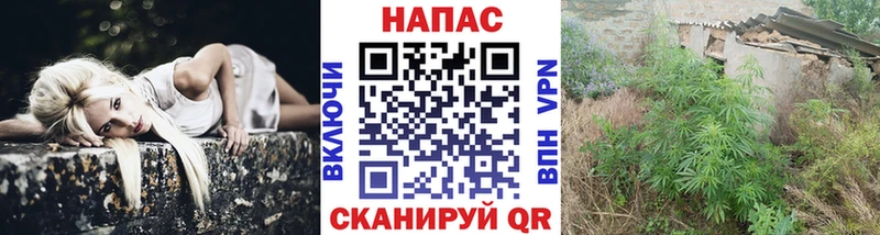 продажа наркотиков  Дубна  ОМГ ОМГ ONION  Бошки Шишки White Widow 